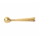 Golden Spoon with Clothespin